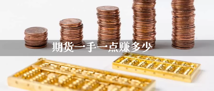 期货一手一点赚多少