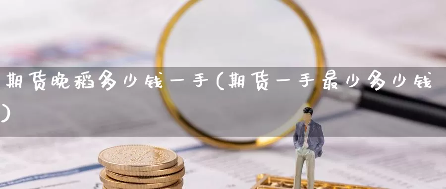 期货晚稻多少钱一手(期货一手最少多少钱)