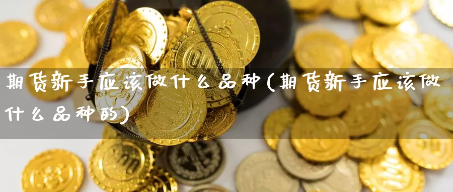 期货新手应该做什么品种(期货新手应该做什么品种的)