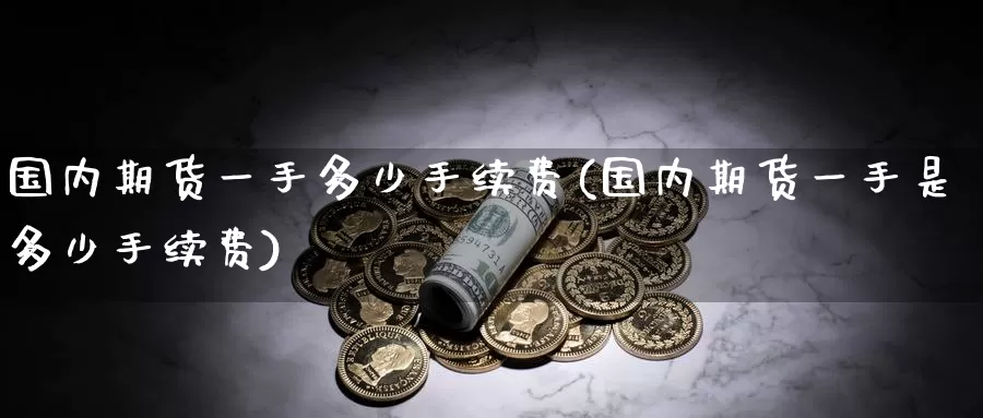 国内期货一手多少手续费(国内期货一手是多少手续费)