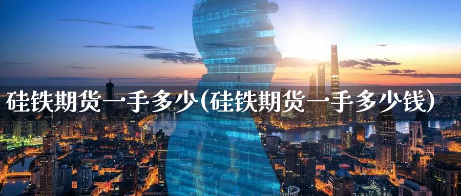 硅铁期货一手多少(硅铁期货一手多少钱)