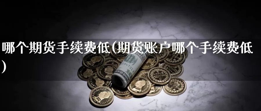 哪个期货手续费低(期货账户哪个手续费低)