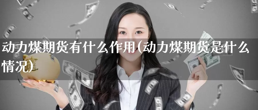 动力煤期货有什么作用(动力煤期货是什么情况)