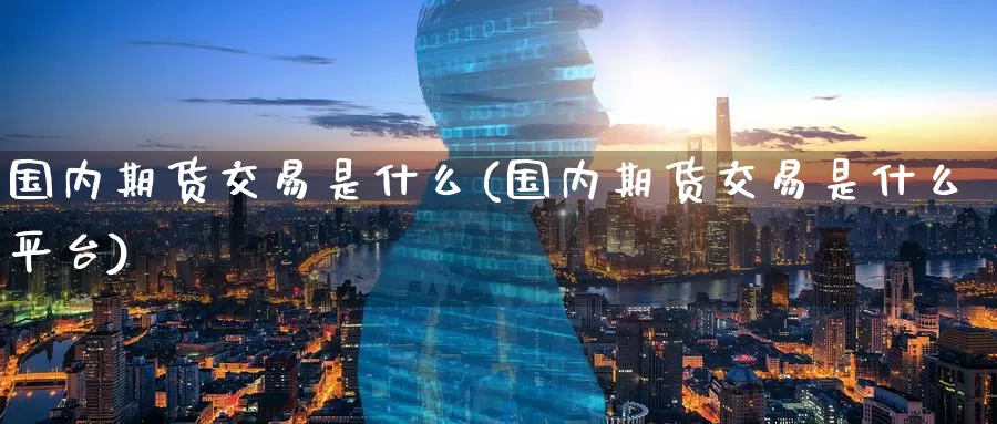 国内期货交易是什么(国内期货交易是什么平台)