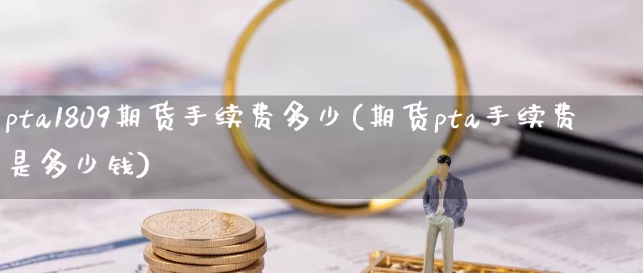pta1809期货手续费多少(期货pta手续费是多少钱)