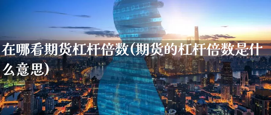 在哪看期货杠杆倍数(期货的杠杆倍数是什么意思)