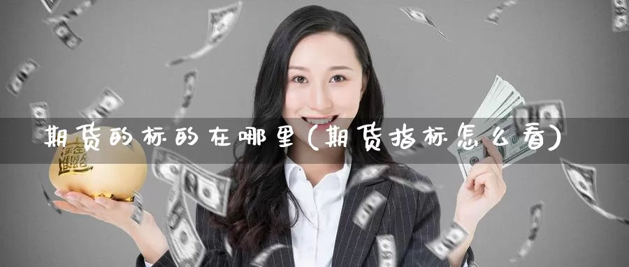 期货的标的在哪里(期货指标怎么看)