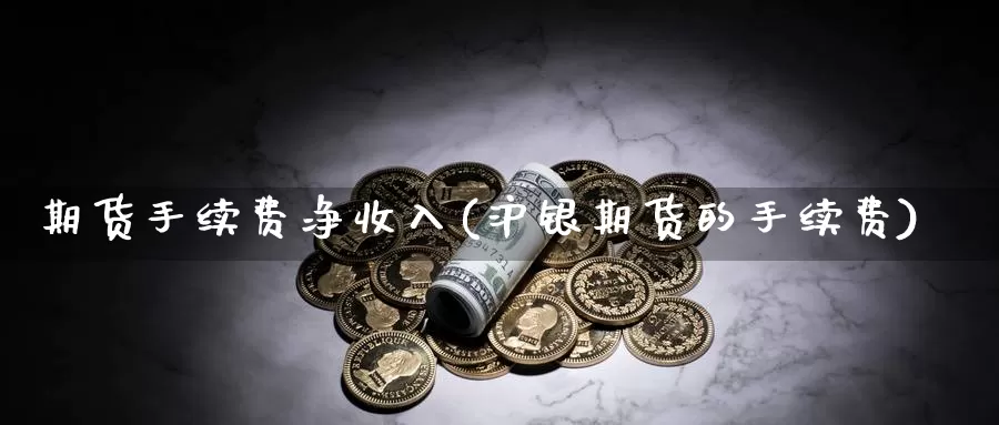 期货手续费净收入(沪银期货的手续费)