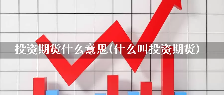 投资期货什么意思(什么叫投资期货)