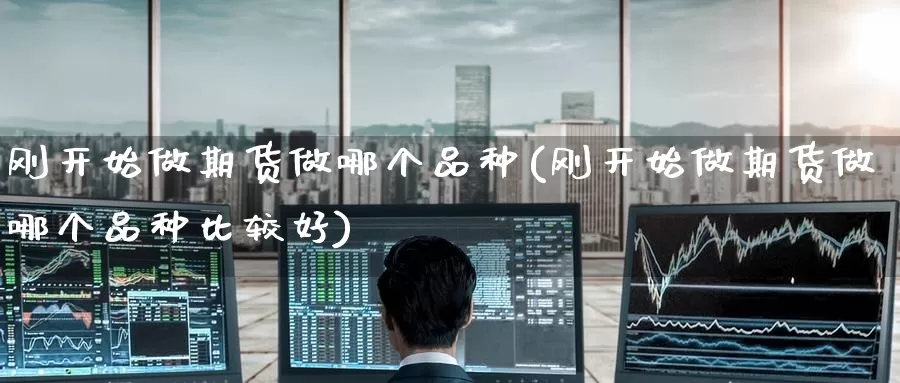 刚开始做期货做哪个品种(刚开始做期货做哪个品种比较好)