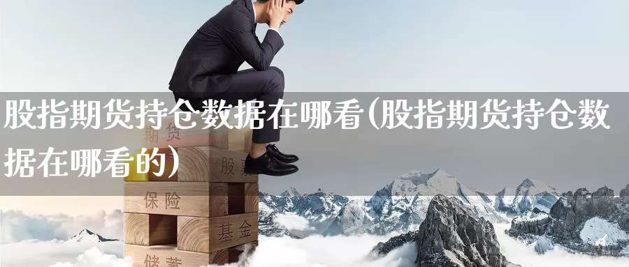 股指期货持仓数据在哪看(股指期货持仓数据在哪看的)