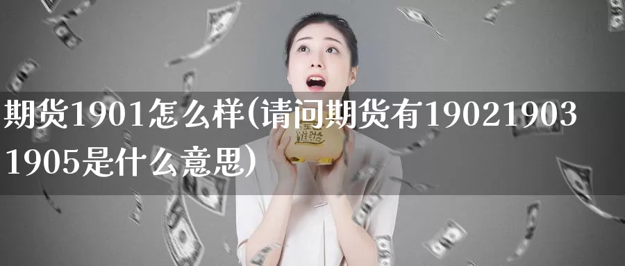 期货1901怎么样(请问期货有190219031905是什么意思)