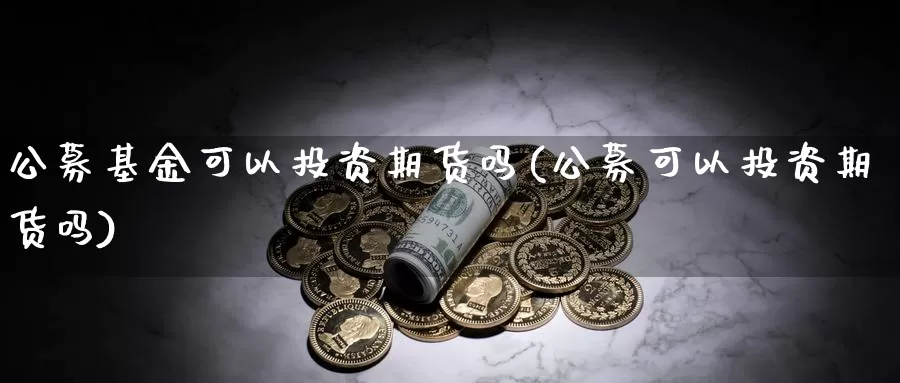 公募基金可以投资期货吗(公募可以投资期货吗)
