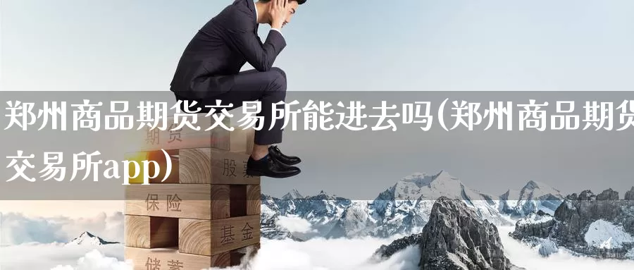 郑州商品期货交易所能进去吗(郑州商品期货交易所app)