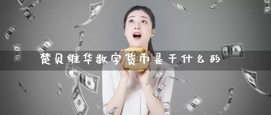 楚贝维华数字货币是干什么的