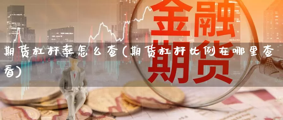 期货杠杆率怎么查(期货杠杆比例在哪里查看)