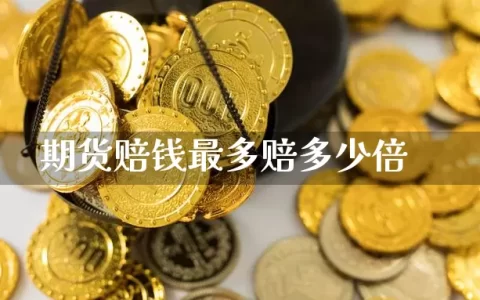 期货赔钱最多赔多少倍