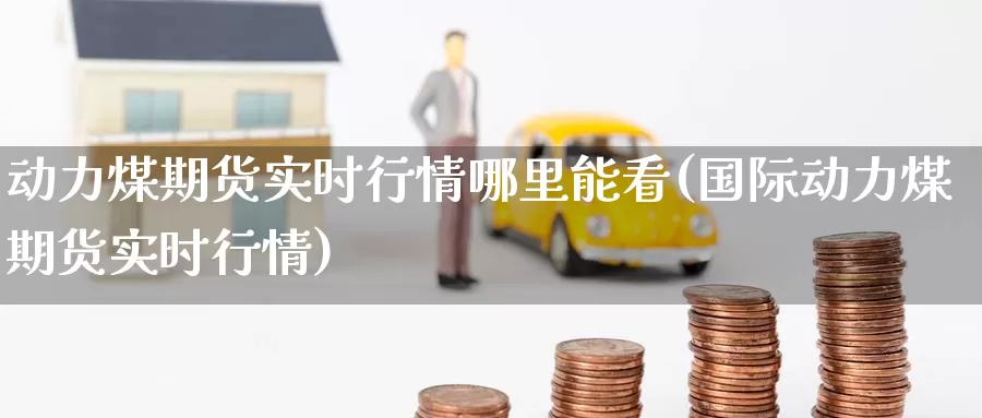 动力煤期货实时行情哪里能看(国际动力煤期货实时行情)