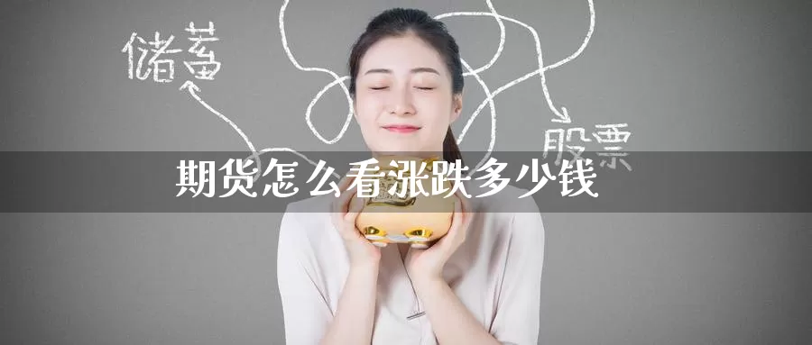 期货怎么看涨跌多少钱