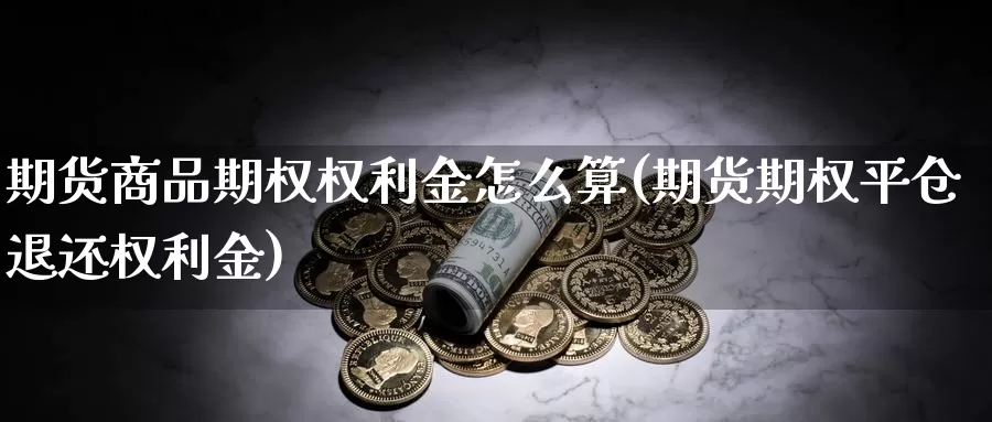 期货商品期权权利金怎么算(期货期权平仓退还权利金)