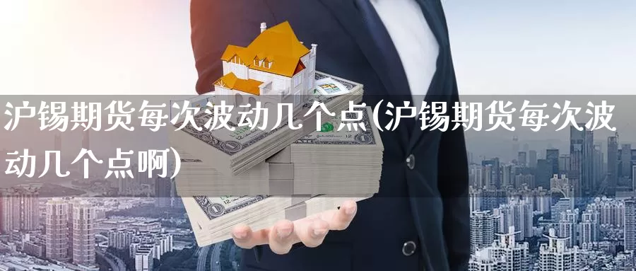 沪锡期货每次波动几个点(沪锡期货每次波动几个点啊)