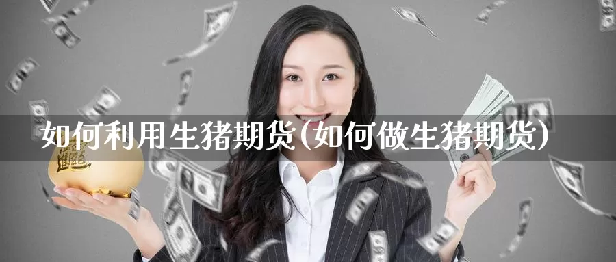 如何利用生猪期货(如何做生猪期货)