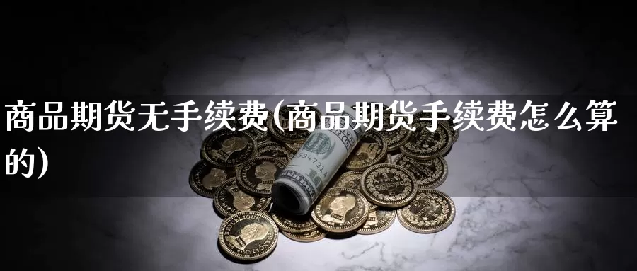 商品期货无手续费(商品期货手续费怎么算的)