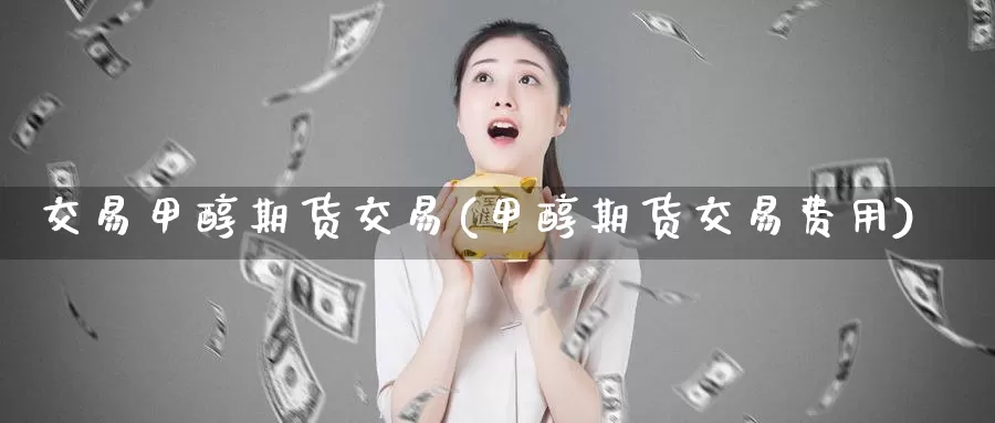 交易甲醇期货交易(甲醇期货交易费用)