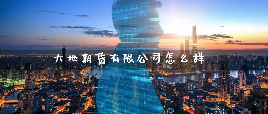 大地期货有限公司怎么样