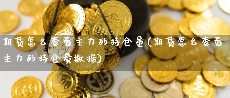 期货怎么查看主力的持仓量(期货怎么查看主力的持仓量数据)