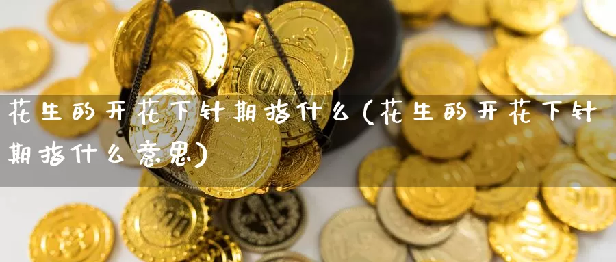 花生的开花下针期指什么(花生的开花下针期指什么意思)