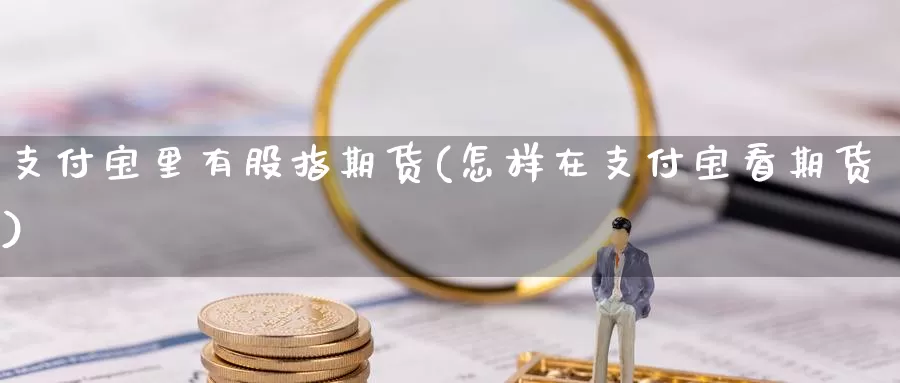 支付宝里有股指期货(怎样在支付宝看期货)