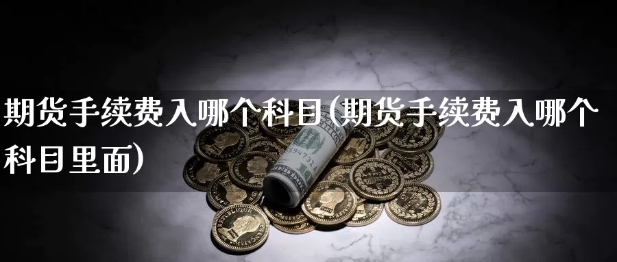 期货手续费入哪个科目(期货手续费入哪个科目里面)