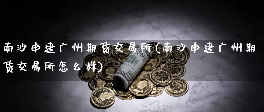 南沙申建广州期货交易所(南沙申建广州期货交易所怎么样)