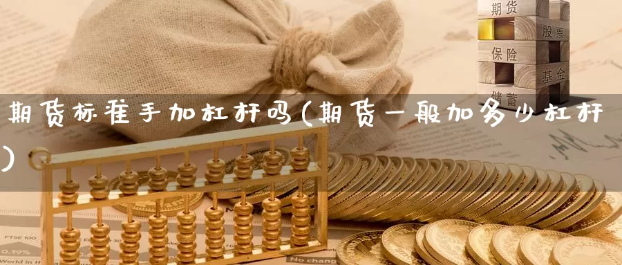 期货标准手加杠杆吗(期货一般加多少杠杆)