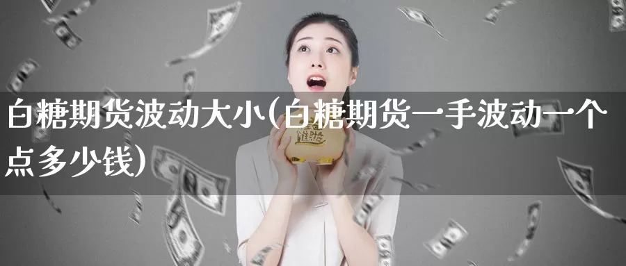 白糖期货波动大小(白糖期货一手波动一个点多少钱)