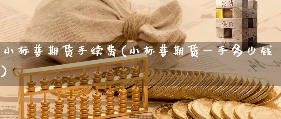 小标普期货手续费(小标普期货一手多少钱)