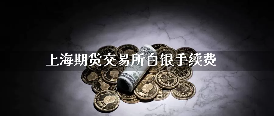 上海期货交易所白银手续费