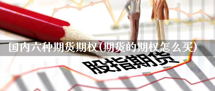 国内六种期货期权(期货的期权怎么买)