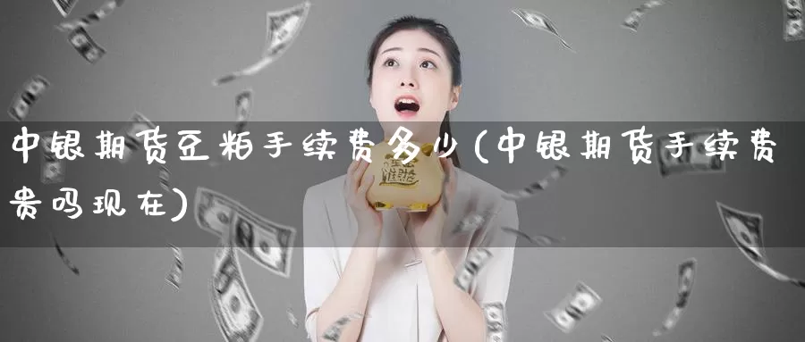 中银期货豆粕手续费多少(中银期货手续费贵吗现在)
