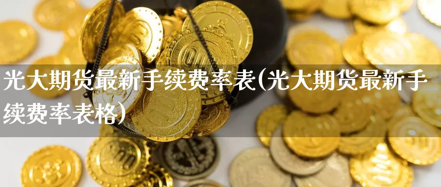 光大期货最新手续费率表(光大期货最新手续费率表格)