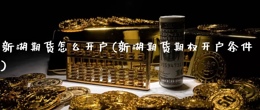 新湖期货怎么开户(新湖期货期权开户条件)