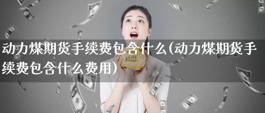 动力煤期货手续费包含什么(动力煤期货手续费包含什么费用)