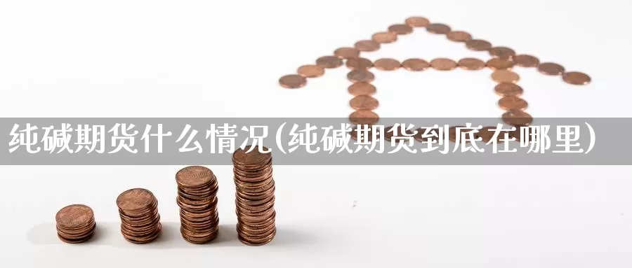 纯碱期货什么情况(纯碱期货到底在哪里)