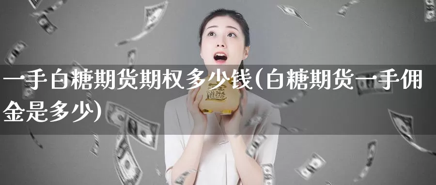 一手白糖期货期权多少钱(白糖期货一手佣金是多少)