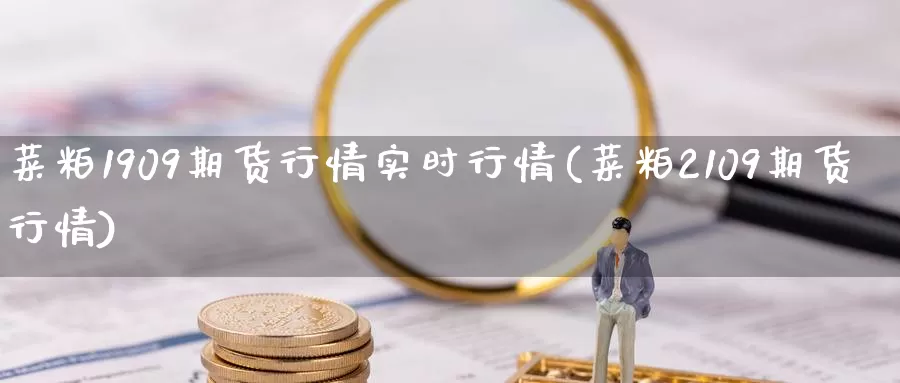 菜粕1909期货行情实时行情(菜粕2109期货行情)