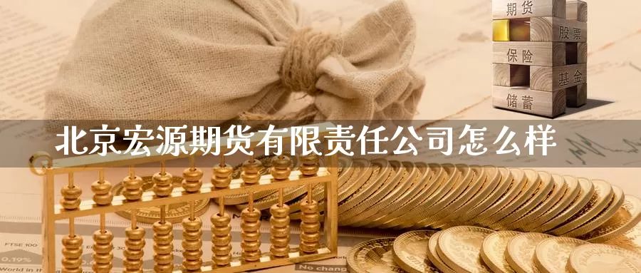 宏源期货有限责任公司怎么样