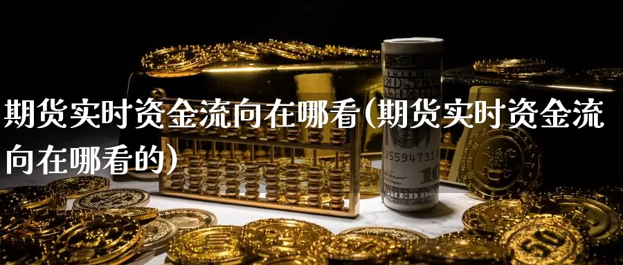 期货实时资金流向在哪看(期货实时资金流向在哪看的)