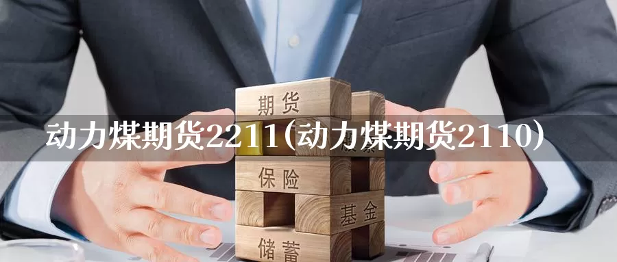 动力煤期货2211(动力煤期货2110)
