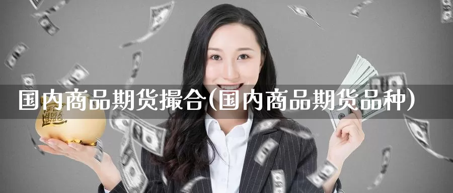 国内商品期货撮合(国内商品期货品种)